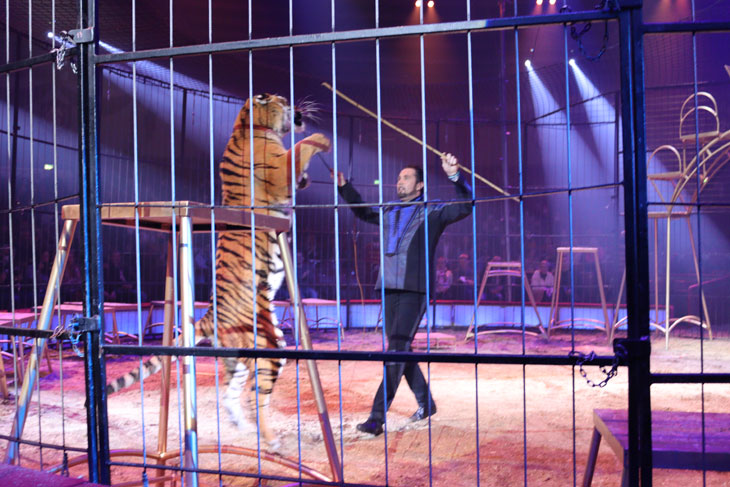 MartinLacey jr: Circus Krone  Winterspielzeit 2022: &bdquo;New Memories&ldquo; ist der Programmtitel Premiere am 18.02.2022